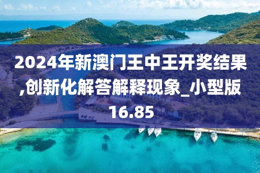 2024年新澳门王中王开奖结果,创新化解答解释现象_小型版16.85