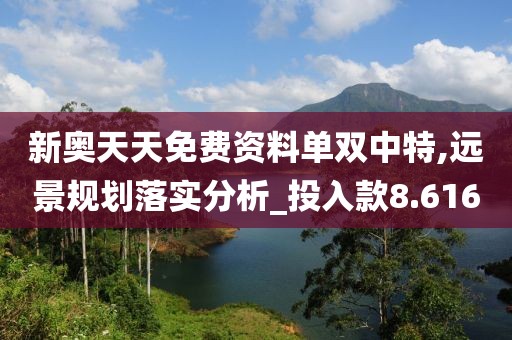新奥天天免费资料单双中特,远景规划落实分析_投入款8.616