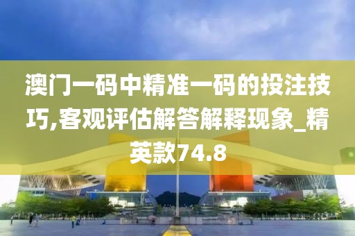 澳门一码中精准一码的投注技巧,客观评估解答解释现象_精英款74.8