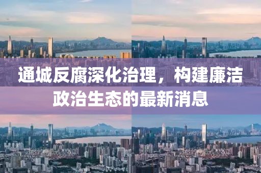 通城反腐深化治理，构建廉洁政治生态的最新消息