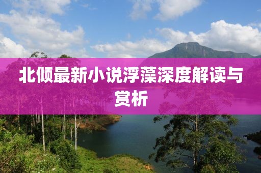 北倾最新小说浮藻深度解读与赏析