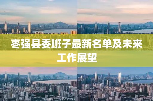 枣强县委班子最新名单及未来工作展望