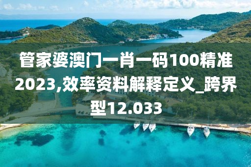 管家婆澳门一肖一码100精准2023,效率资料解释定义_跨界型12.033