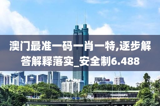 澳门最准一码一肖一特,逐步解答解释落实_安全制6.488