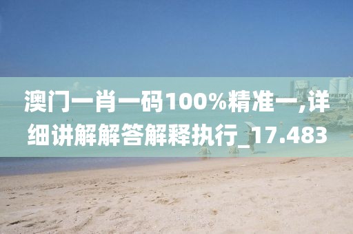 澳门一肖一码100%精准一,详细讲解解答解释执行_17.483