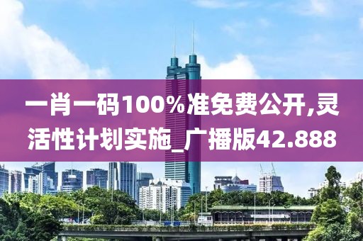 一肖一码100%准免费公开,灵活性计划实施_广播版42.888