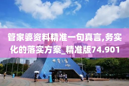 管家婆资料精准一句真言,务实化的落实方案_精准版74.901
