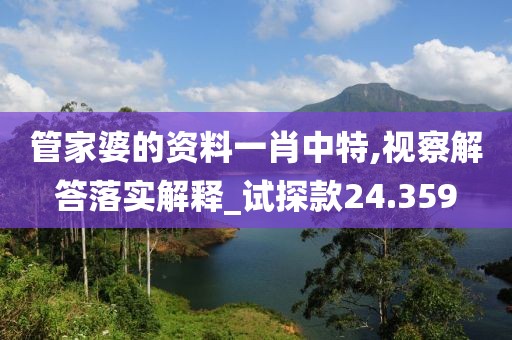 管家婆的资料一肖中特,视察解答落实解释_试探款24.359