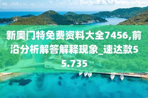 新奥门特免费资料大全7456,前沿分析解答解释现象_速达款55.735