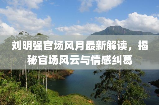 刘明强官场风月最新解读，揭秘官场风云与情感纠葛