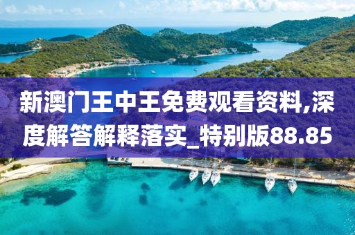 新澳门王中王免费观看资料,深度解答解释落实_特别版88.85
