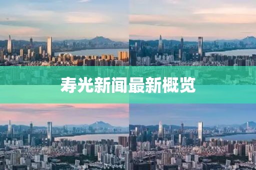寿光新闻最新概览