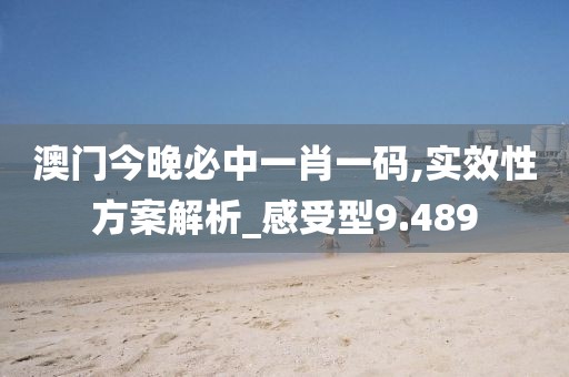 澳门今晚必中一肖一码,实效性方案解析_感受型9.489