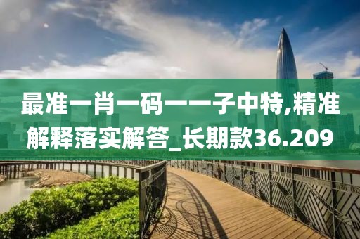 最准一肖一码一一子中特,精准解释落实解答_长期款36.209