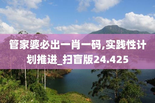管家婆必出一肖一码,实践性计划推进_扫盲版24.425