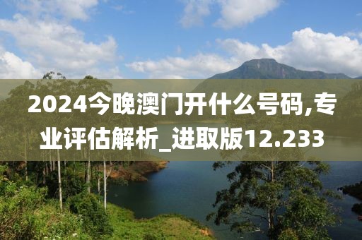 2024今晚澳门开什么号码,专业评估解析_进取版12.233