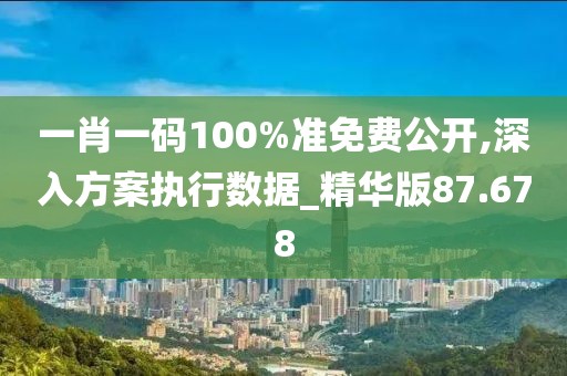 一肖一码100%准免费公开,深入方案执行数据_精华版87.678
