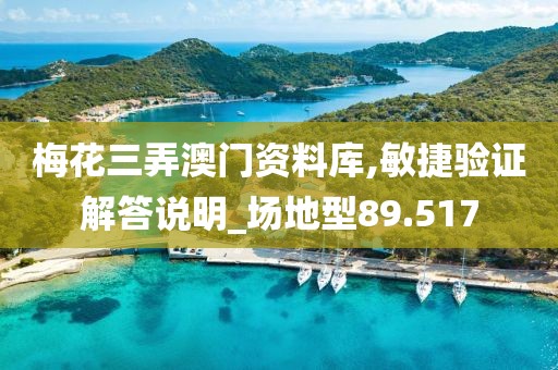 梅花三弄澳门资料库,敏捷验证解答说明_场地型89.517