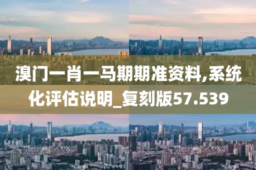 溴门一肖一马期期准资料,系统化评估说明_复刻版57.539