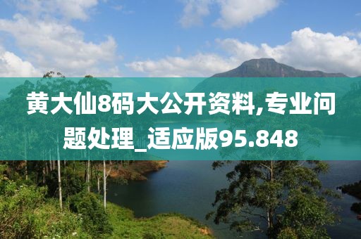 黄大仙8码大公开资料,专业问题处理_适应版95.848