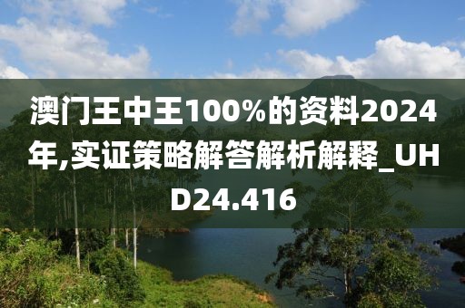 澳门王中王100%的资料2024年,实证策略解答解析解释_UHD24.416