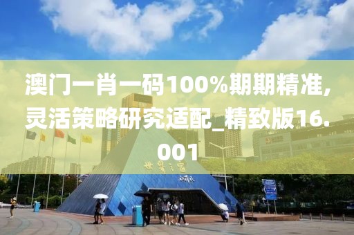 澳门一肖一码100%期期精准,灵活策略研究适配_精致版16.001