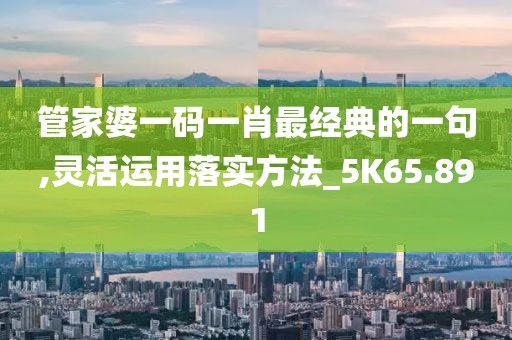 管家婆一码一肖最经典的一句,灵活运用落实方法_5K65.891