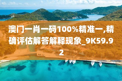 澳门一肖一码100%精准一,精确评估解答解释现象_9K59.92