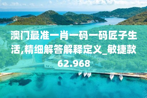 澳门最准一肖一码一码匠子生活,精细解答解释定义_敏捷款62.968