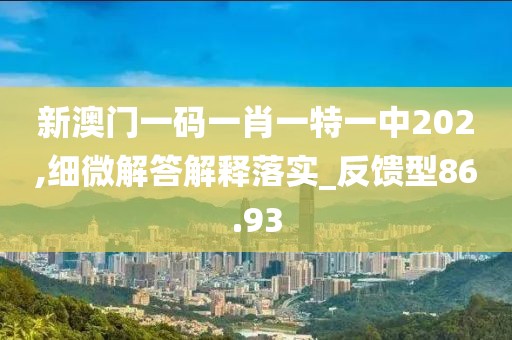 新澳门一码一肖一特一中202,细微解答解释落实_反馈型86.93
