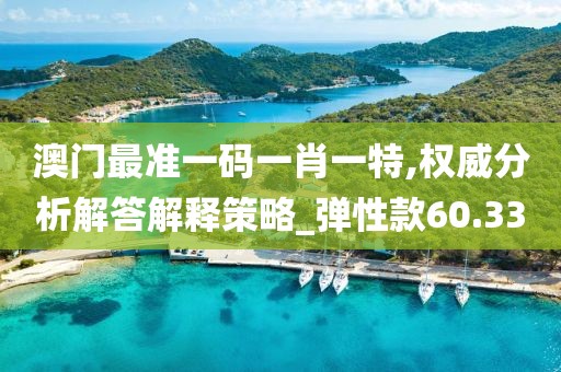 澳门最准一码一肖一特,权威分析解答解释策略_弹性款60.33