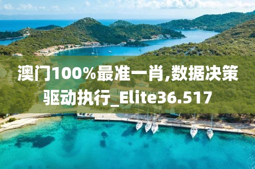澳门100%最准一肖,数据决策驱动执行_Elite36.517