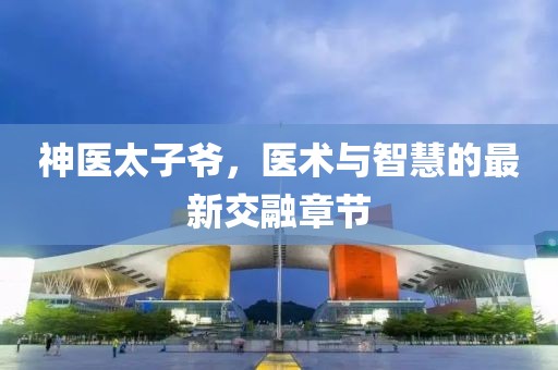 神医太子爷，医术与智慧的最新交融章节