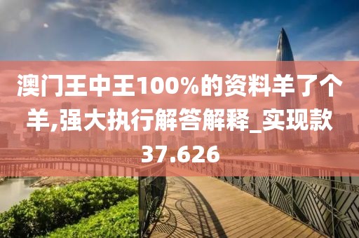澳门王中王100%的资料羊了个羊,强大执行解答解释_实现款37.626