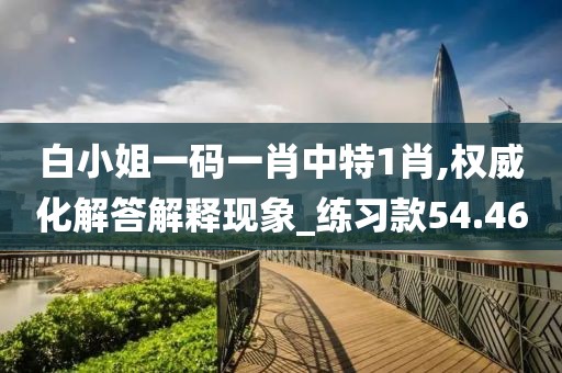 白小姐一码一肖中特1肖,权威化解答解释现象_练习款54.46