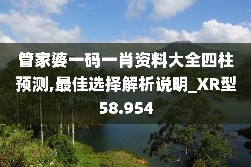 管家婆一码一肖资料大全四柱预测,最佳选择解析说明_XR型58.954