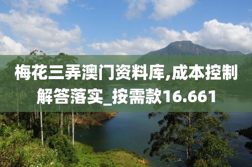 梅花三弄澳门资料库,成本控制解答落实_按需款16.661
