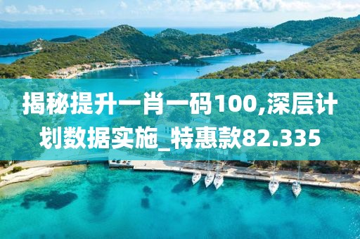 揭秘提升一肖一码100,深层计划数据实施_特惠款82.335