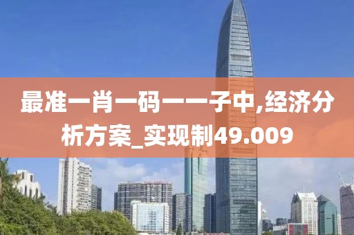 最准一肖一码一一子中,经济分析方案_实现制49.009