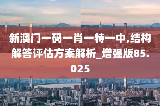 新澳门一码一肖一特一中,结构解答评估方案解析_增强版85.025