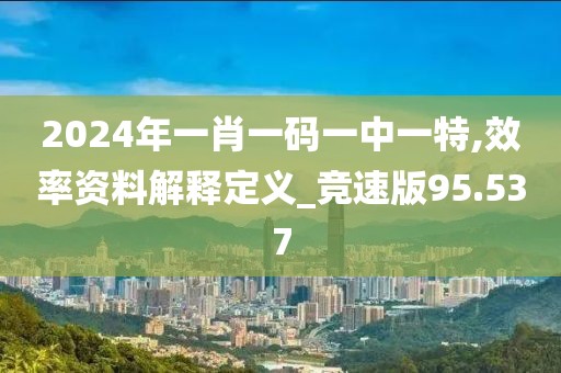 2024年一肖一码一中一特,效率资料解释定义_竞速版95.537