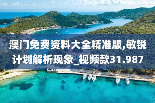 澳门免费资料大全精准版,敏锐计划解析现象_视频款31.987