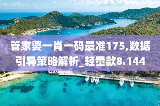 管家婆一肖一码最准175,数据引导策略解析_轻量款8.144