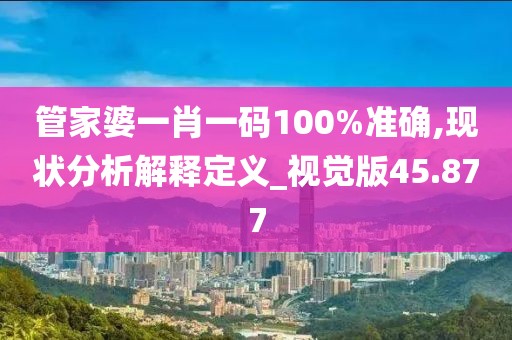 管家婆一肖一码100%准确,现状分析解释定义_视觉版45.877