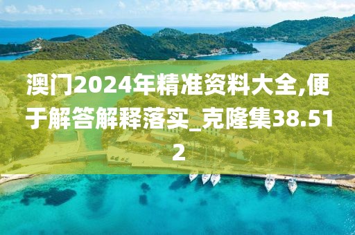 澳门2024年精准资料大全,便于解答解释落实_克隆集38.512