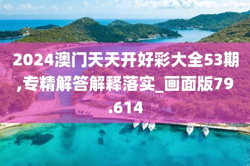 2024澳门天天开好彩大全53期,专精解答解释落实_画面版79.614