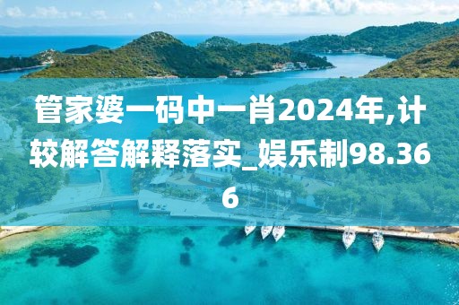 管家婆一码中一肖2024年,计较解答解释落实_娱乐制98.366