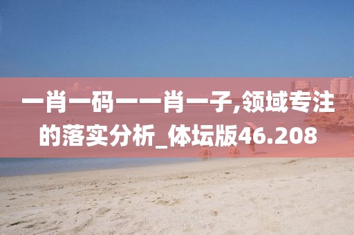 一肖一码一一肖一子,领域专注的落实分析_体坛版46.208