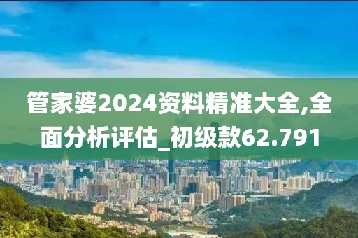 管家婆2024资料精准大全,全面分析评估_初级款62.791