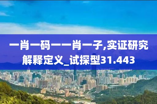 一肖一码一一肖一子,实证研究解释定义_试探型31.443
